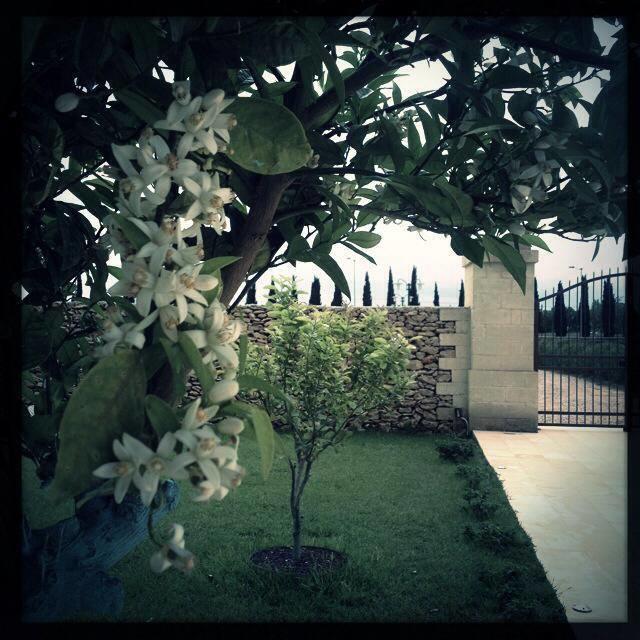 Masseria San Polo Squinzano Екстериор снимка