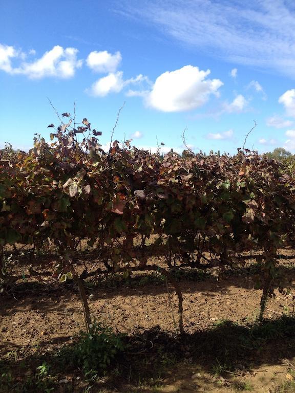 Masseria San Polo Squinzano Екстериор снимка